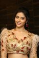 Actress Priyanka Jawalkar Pictures @ Taxiwala Pre Release