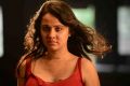 Criminals Telugu Movie Actress Priyanka Kothari Stills