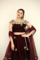 Actress Priyanka Ramana Stills @ Saakshyam Audio Launch