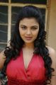 Priyanka Tiwari Hot Photos in Red Gown