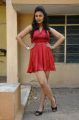 Telugu Actress Priyanka Tiwari Hot Photos