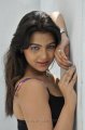 Priyanka Tiwari Hot Spicy Photo Shoot Pics