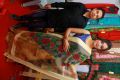 Actress Priyansha Dubey launches National Silk Expo Photos