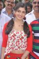 Actress at Pudhu Varusham Movie Launch Stills