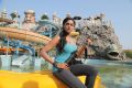 Actress Karthika Nair in Purampokku Engira Podhuvudamai Latest Stills