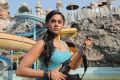 Actress Karthika Nair in Purampokku Engira Podhuvudamai Latest Stills