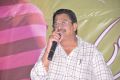 C.Kalyan @ Pure Love Movie Audio Launch Stills