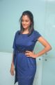 Puriyatha Puthir Actress Gayathrie Shankar Photos in Blue Dress