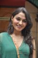 Actress Andrea at Puthiya Thiruppangal Audio Release Photos