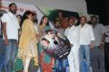 Puthiya Thiruppangal Movie Audio Launch Stills