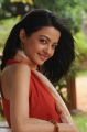 Actress Surveen Chawla in Puthiya Thiruppangal Movie Photos