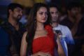 Shanvi Srivastava @ Pyar Mein Padipoyane Movie Audio Launch Stills