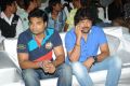 Pyar Mein Padipoyane Movie Audio Launch Stills