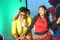 Ra Ra Krishnayya Audio Launch Stills