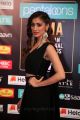 Actress Raai Laxmi Photos @ SIIMA Awards 2019 Day 2