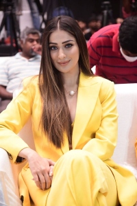 The Legend Actress Raai Laxmi in Yellow Suit Photos