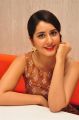 Actress Rashi Khanna New Pics @ Biryani's Restaurant Launch