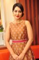 Actress Raashi Khanna New Pics @ Biryani's Restaurant Launch