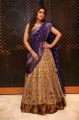 Actress Rashi Khanna Gorgeous Photoshoot Pics