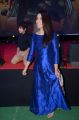 Actress Raashi Khanna HD Pics in Blue Dress