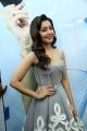 Actress Rashi Khanna Hot Photos @ Honor Mobile Launch