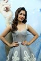 Actress Rashi Khanna Hot Photos @ Honor 9N Mobile Launch