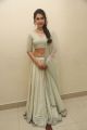 Actress Raashi Khanna Hot Looking Photos