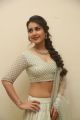 Actress Rashi Khanna Hot Looking Photos