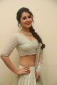 Actress Raashi Khanna Hot Looking Photo Gallery