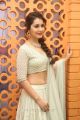 Actress Rashi Khanna Hot Looking Photos