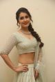 Actress Raashi Khanna Hot Looking Photos