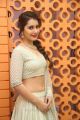 Actress Raashi Khanna Hot Looking Photos