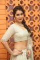 Actress Rashi Khanna Hot Looking Photos