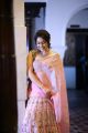 Telugu Actress Raashi Khanna Saree Sankranthi Special Photos