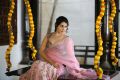 Actress Raashi Khanna Saree Sankranthi Special Photos