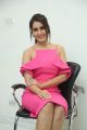 Touch Chesi Choodu Movie Actress Raashi Khanna Interview Photos