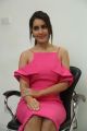 Touch Chesi Choodu Actress Raashi Khanna Interview Photos