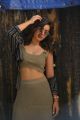 Actress Raashi Khanna New Photoshoot Images HD