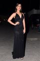 Actress Rashi Khanna New Pictures @ Venky Mama Musical Night
