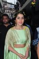 Actress Raashi Khanna @ Supreme Platinum Disc Function