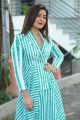 Venky Mama Movie Actress Raashi Khanna Interview Images