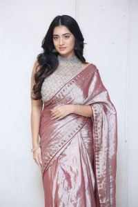 Bhoothaddam Bhaskar Narayana Actress Raashi Singh Saree Stills