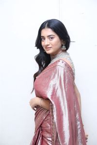 Bhoothaddam Bhaskar Narayana Heroine Raashi Singh Saree Stills