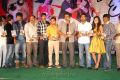 Race Audio Launch Function Stills