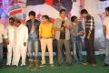 Race Movie Audio Launch Function Stills