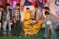 Race Audio Launch Function Stills