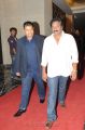 Race Gurram Audio Launch Function Stills