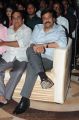 Race Gurram Audio Launch Function Stills