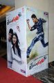 Race Gurram Audio Launch Function Stills