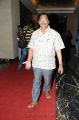 Race Gurram Audio Launch Function Stills